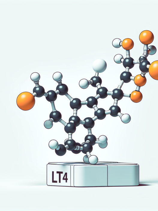 Uso de L-Thyroxine Sodium/Levothyroxine Sodium (LT4 sodium) sin entrenamiento con pesas